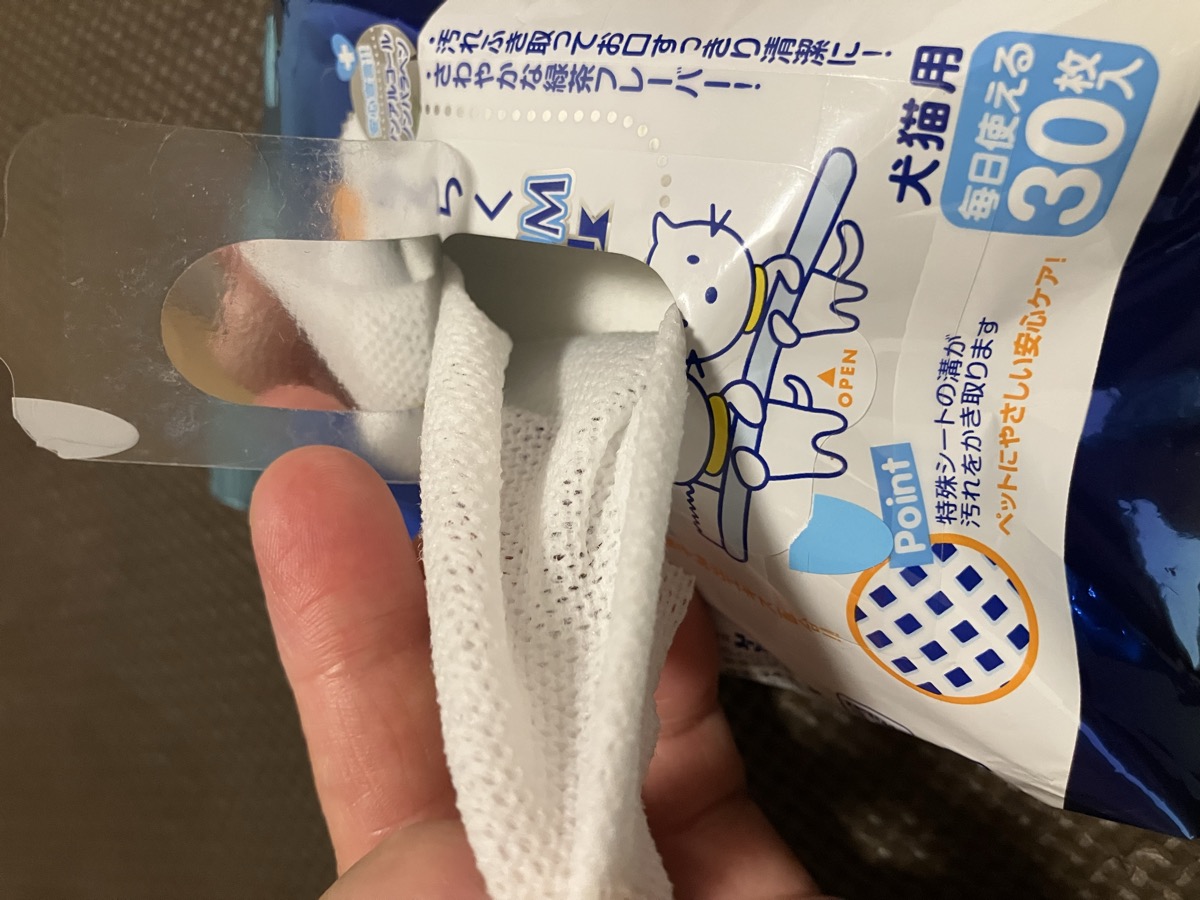 歯みがきシートを指に巻いた実際の使い方